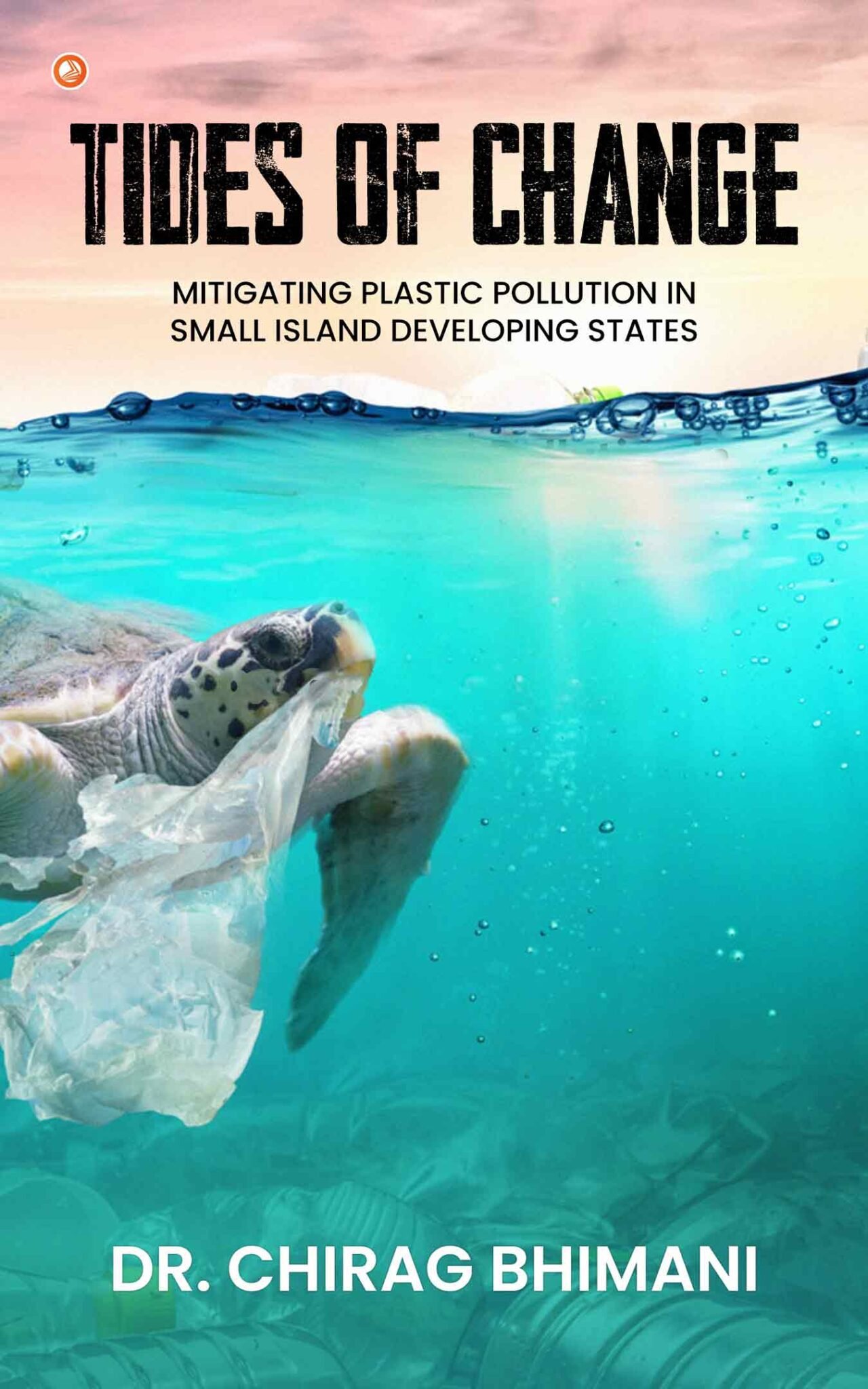 Tides of Change : Mitigating Plastic Pollution in Small Island ...